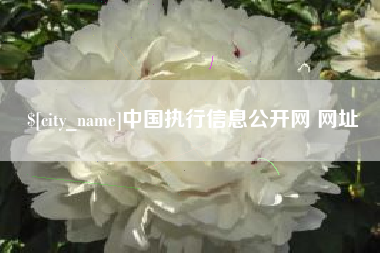 宣汉中国执行信息公开网 网址