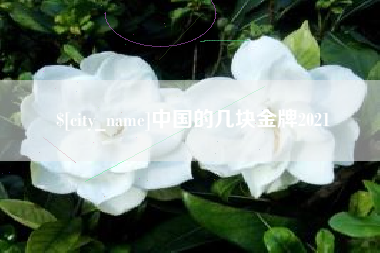 宣汉中国的几块金牌2021