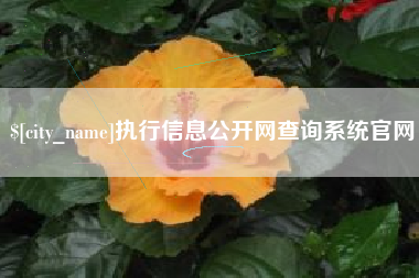 宣汉执行信息公开网查询系统官网
