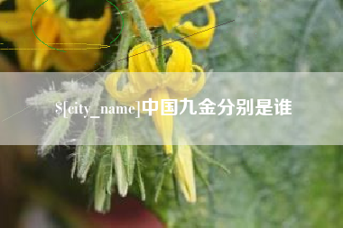 宣汉中国九金分别是谁