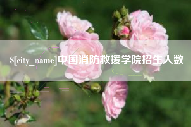 宣汉中国消防救援学院招生人数