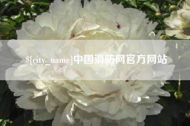 宣汉中国消防网官方网站
