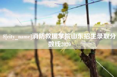 宣汉消防救援学院山东招生录取分数线2020