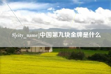 宣汉中国第九块金牌是什么