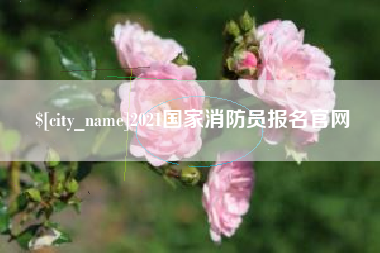 宣汉2021国家消防员报名官网
