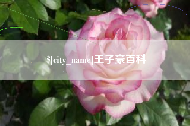 宣汉王子豪百科