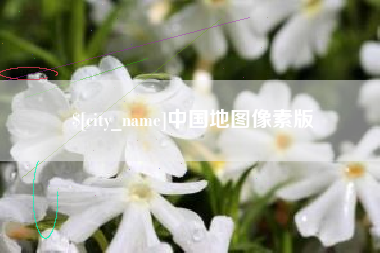 宣汉中国地图像素版