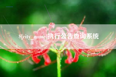 宣汉执行公告查询系统