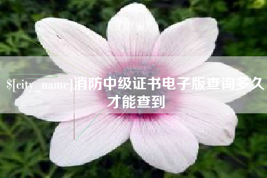 宣汉消防中级证书电子版查询多久才能查到