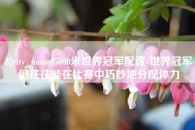 宣汉5000米世界冠军配速-世界冠军们往往能在比赛中巧妙地分配体力
