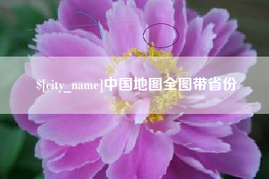 宣汉中国地图全图带省份