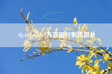 宣汉九宫图分割线图片