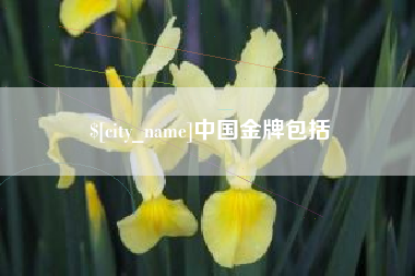 宣汉中国金牌包括