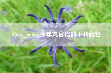 宣汉今年九宫格的不利颜色