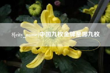 宣汉中国九枚金牌是哪九枚