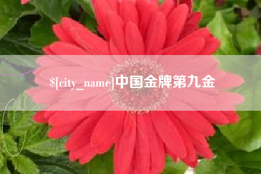 宣汉中国金牌第九金