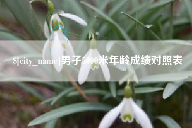 宣汉男子5000米年龄成绩对照表