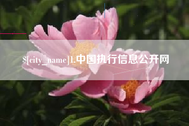 宣汉1.中国执行信息公开网