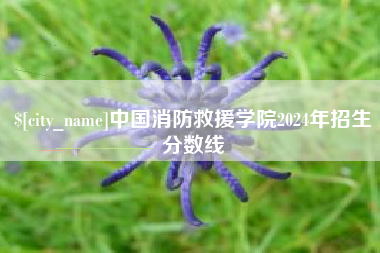 宣汉中国消防救援学院2024年招生分数线