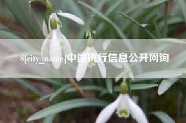 宣汉中国执行信息公开网询