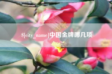 宣汉中国金牌哪几项