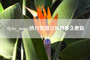 宣汉执行信息公开网多久更新