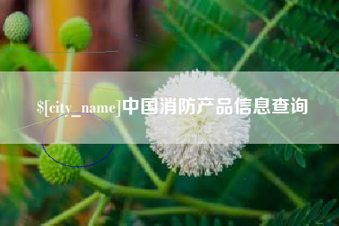 宣汉中国消防产品信息查询