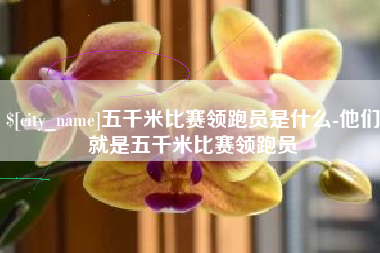 宣汉五千米比赛领跑员是什么-他们就是五千米比赛领跑员