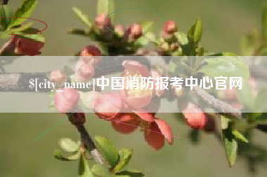 宣汉中国消防报考中心官网