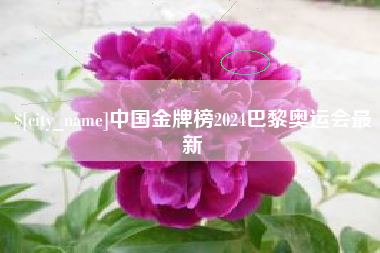 宣汉中国金牌榜2024巴黎奥运会最新