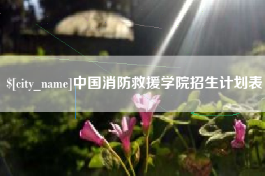 宣汉中国消防救援学院招生计划表