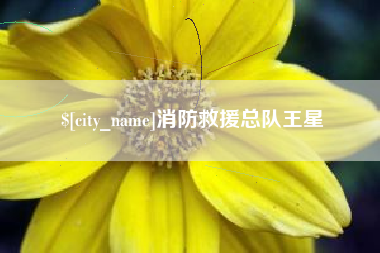 宣汉消防救援总队王星