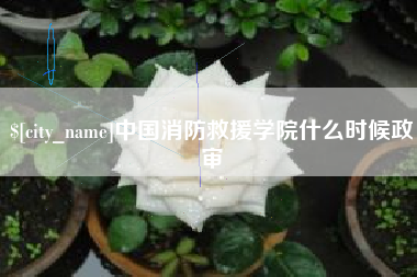 宣汉中国消防救援学院什么时候政审