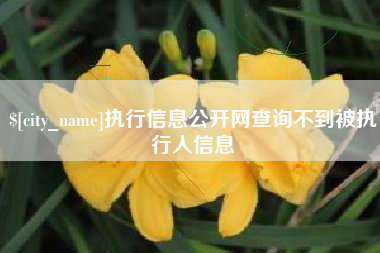 宣汉执行信息公开网查询不到被执行人信息