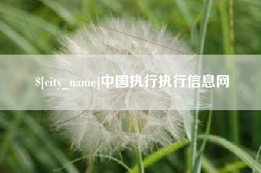 宣汉中国执行执行信息网