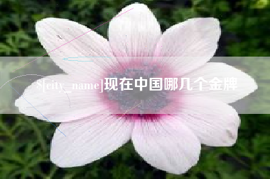 宣汉现在中国哪几个金牌
