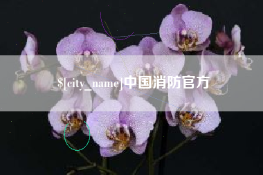 宣汉中国消防官方