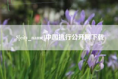 宣汉中国执行公开网下载
