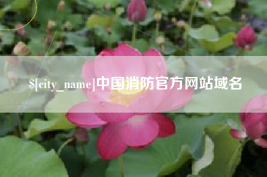 宣汉中国消防官方网站域名