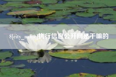 宣汉执行信息公开网是干嘛的