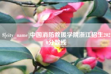 宣汉中国消防救援学院浙江招生2020分数线