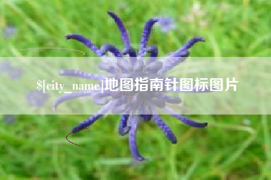 宣汉地图指南针图标图片