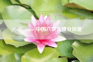 宣汉中国六块金牌分别是