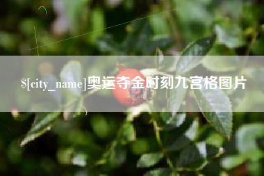 宣汉奥运夺金时刻九宫格图片