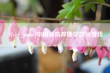 宣汉中国消防救援学院分数线