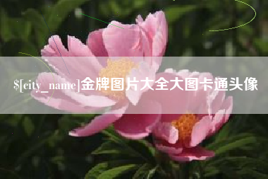 宣汉金牌图片大全大图卡通头像