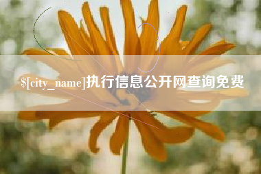 宣汉执行信息公开网查询免费