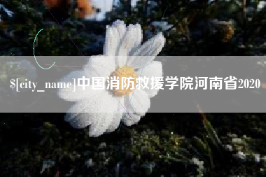 宣汉中国消防救援学院河南省2020